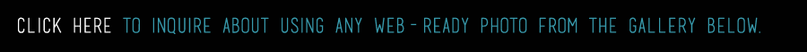 click to email brandi ediss for web-ready photos